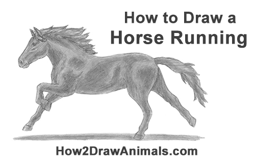 500x315 How To Draw A Horse Running - Black And White Drawing Of A Horse