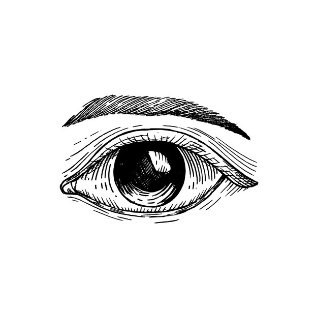 626x626 Black And White Eye Illustration Vector Free Download - Black And White Drawing Pictures