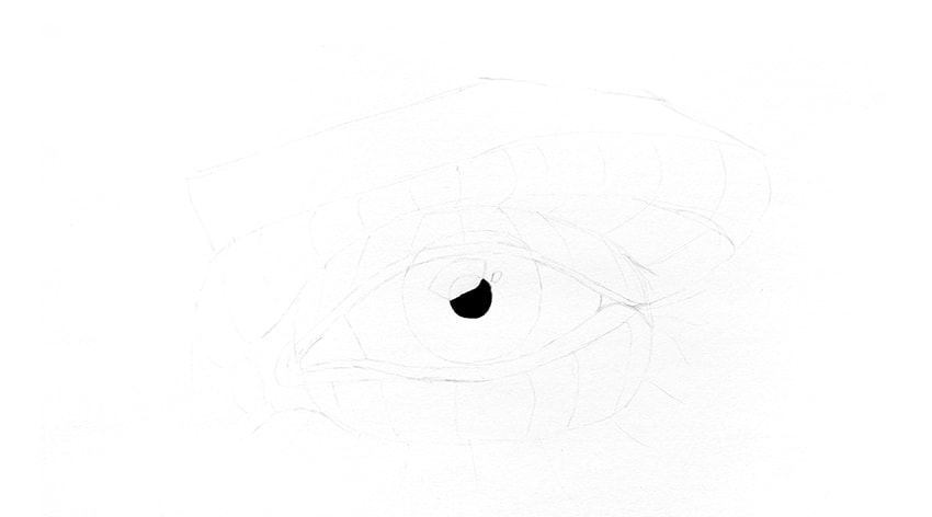 850x472 How To Draw A Realistic Eye - Black And White Drawing Pictures