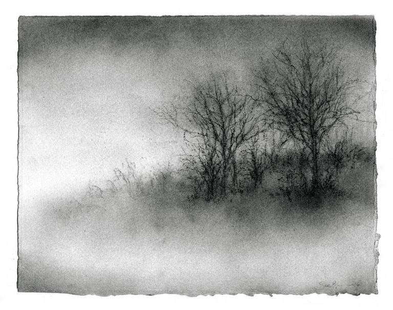 768x606 Sue Bryan - Black And White Drawings