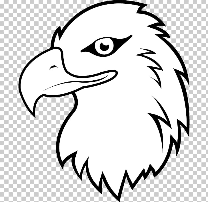 Black And White Eagle Drawing