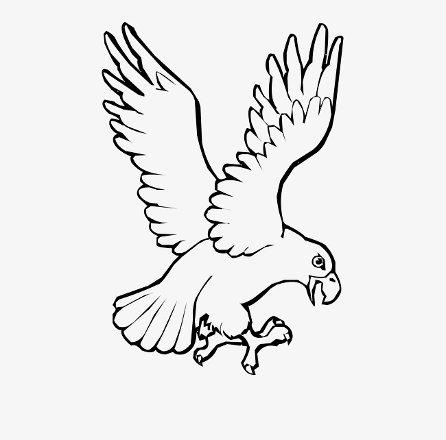 650x642 Black And White Cartoon Lines Eagle, Black Vector, Cartoon Vector - Black And White Eagle Drawing