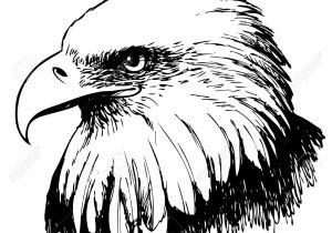 300x210 black and white eagle drawing bald eagle swoop landing draw - Black And White Eagle Drawing