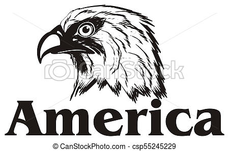 450x298 black and white eagle with word america not colored head of eagle - Black And White Eagle Drawing