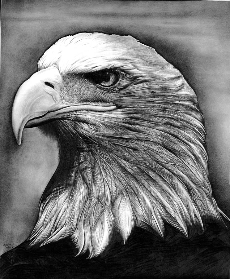 744x900 Eagle Drawing - Black And White Eagle Drawing
