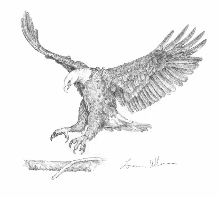 900x816 Eagle Landing Drawing - Black And White Eagle Drawing