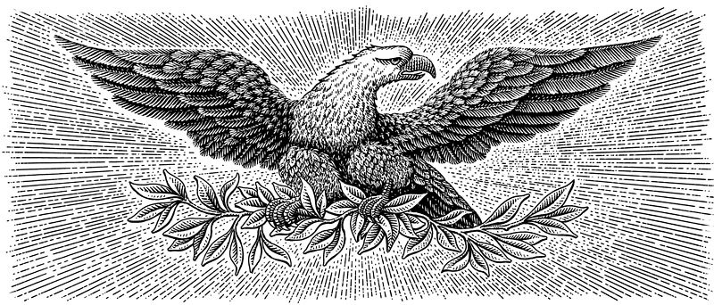800x342 bald eagle certificate drawing - Black And White Eagle Drawing