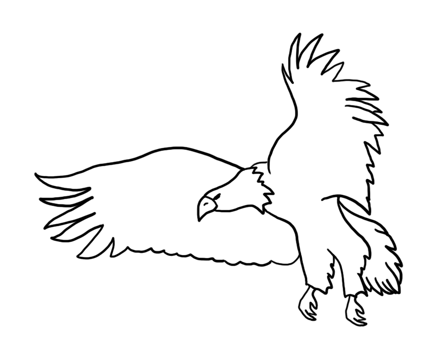 886x709 Bald Eagle Drawings - Black And White Eagle Drawing