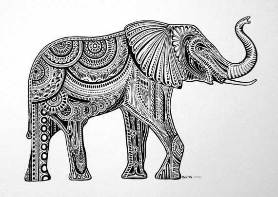 570x405 Black White Elephant Ink Drawing - Black And White Elephant Drawing