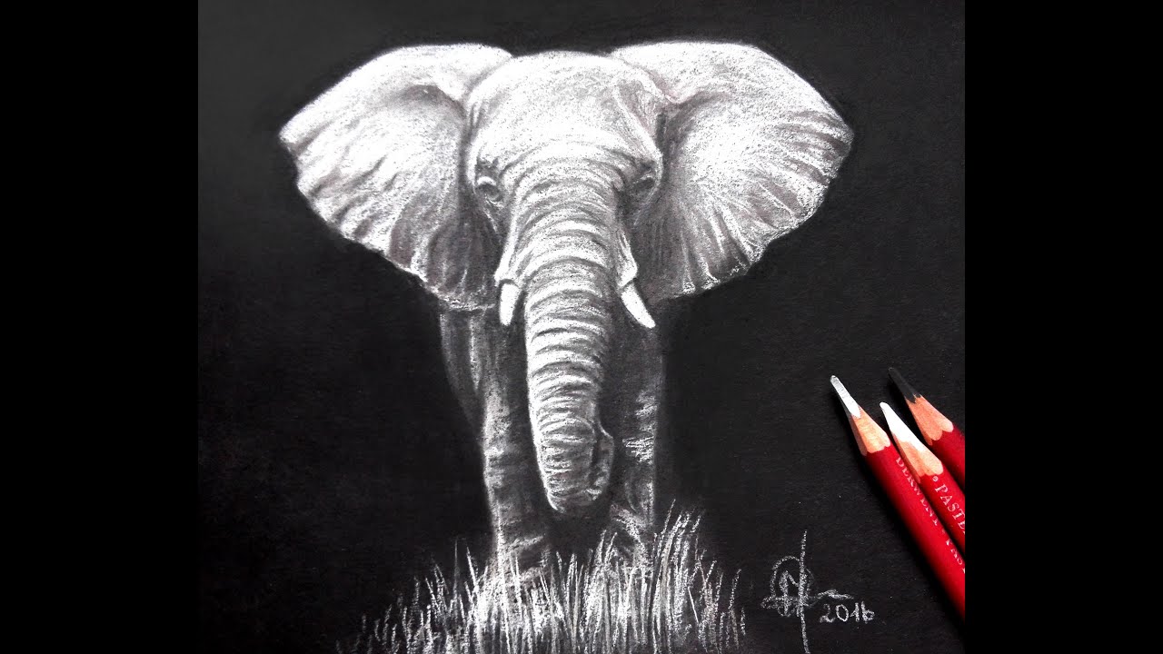 1280x720 Drawing An Elephant On Black Paper - Black And White Elephant Drawing