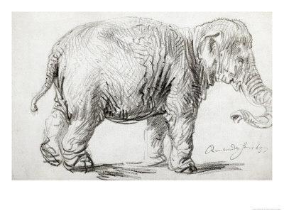 400x300 Elephant, Black Chalk Drawing Giclee Print - Black And White Elephant Drawing