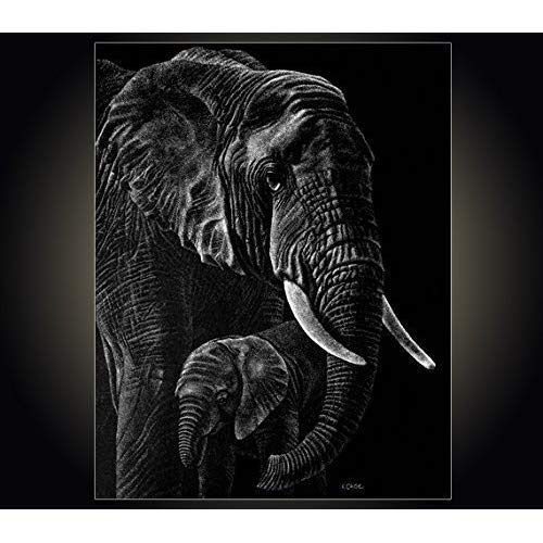 500x500 Elephant Drawing - Black And White Elephant Drawing