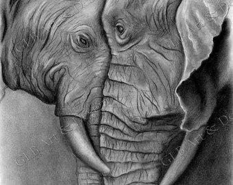 340x270 Elephant Drawing Etsy - Black And White Elephant Drawing