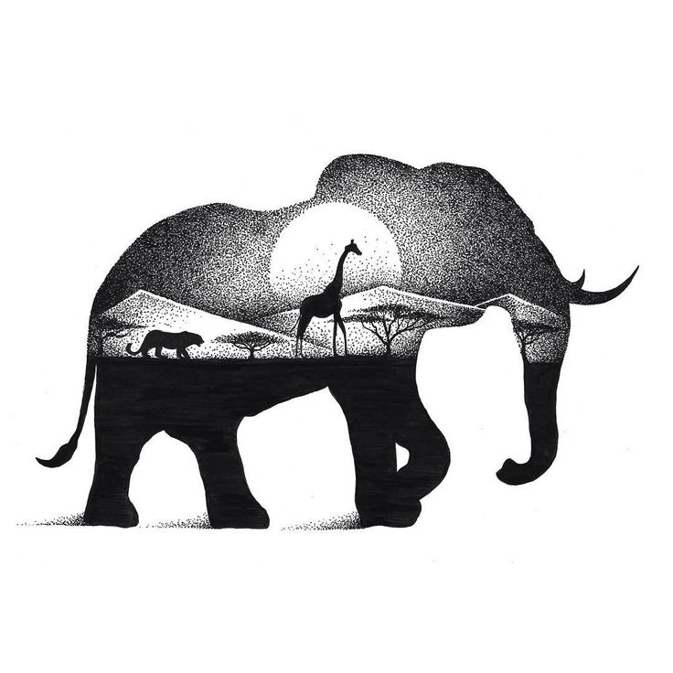 736x736 Elephant Drawings - Black And White Elephant Drawing