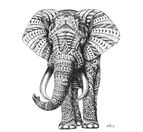 500x462 Drawing Black And White Elephant Vertical Thelittleparadise - Black And White Elephant Drawing