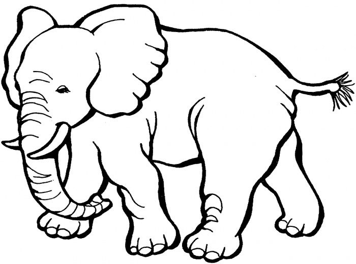 700x520 Black And White Elephant Coloring Pages Great Free Clipart - Black And White Elephant Drawing