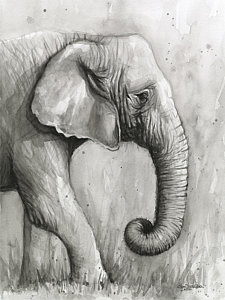 225x300 Black And White Elephant Paintings Fine Art America - Black And White Elephant Drawing