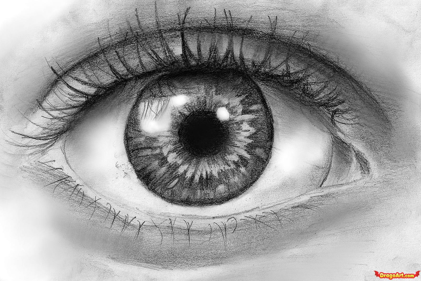 Black And White Eye Drawing at Explore collection