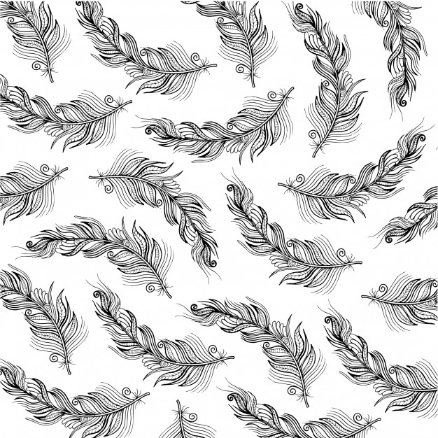 626x626 Hand Drawn Black And White Feather Background Vector Free Download - Black And White Feather Drawing