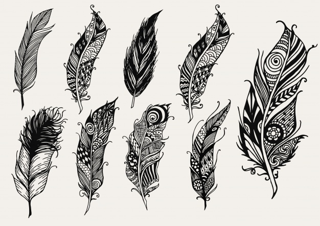 626x442 Hand Drawn Feather Collection Vector Free Download - Black And White Feather Drawing