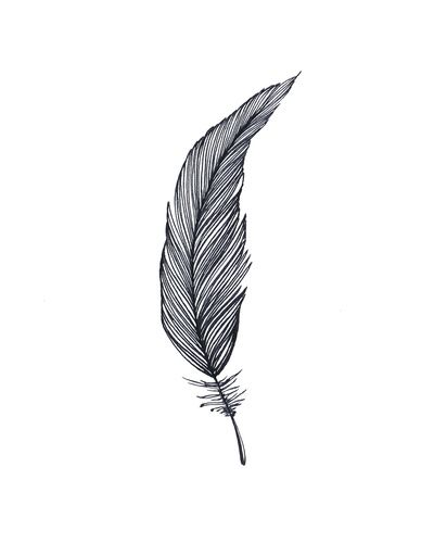 400x500 One Feather - Black And White Feather Drawing