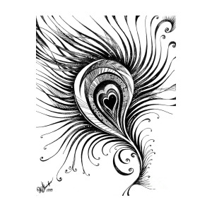 Black And White Feather Drawing at PaintingValley.com | Explore ...