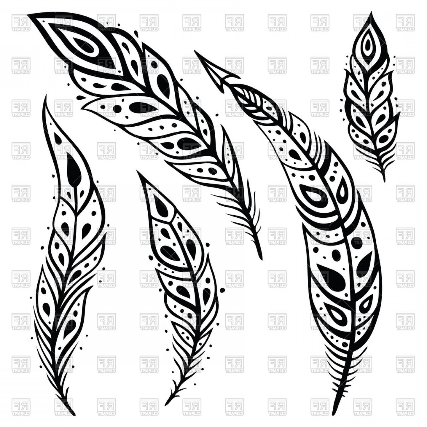 1440x1440 Stylized Decorative Black White Feathers Vector Clipart Soidergi - Black And White Feather Drawing