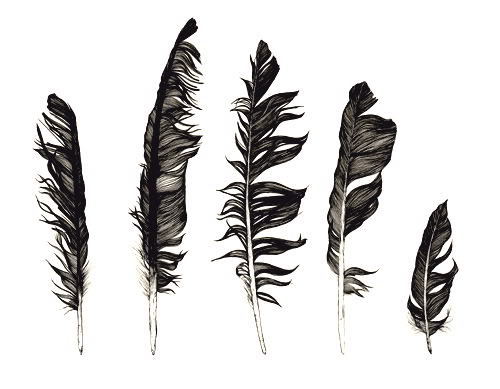 500x389 Black White, Draw, Drawing, Feather - Black And White Feather Drawing