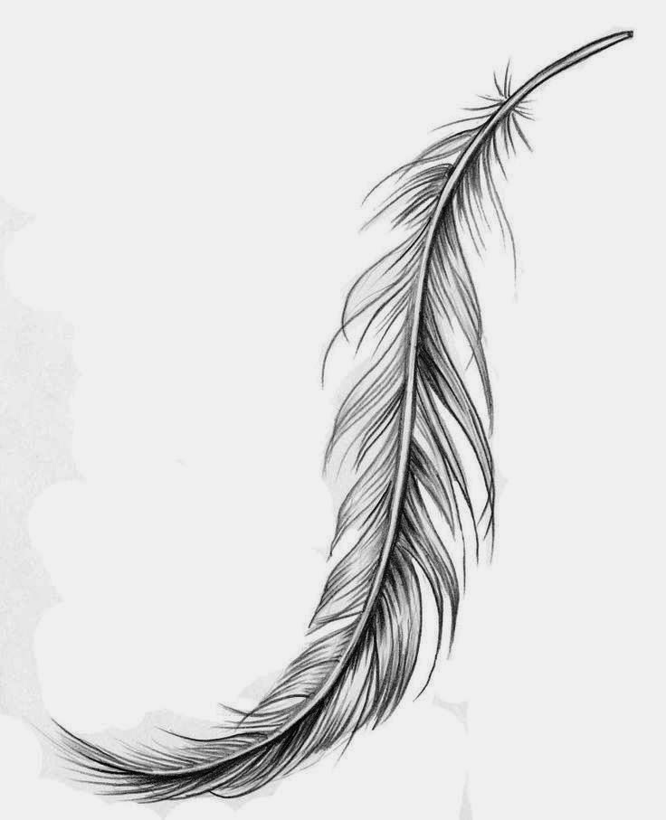 736x907 Quill Drawing White Feather For Free Download - Black And White Feather Drawing