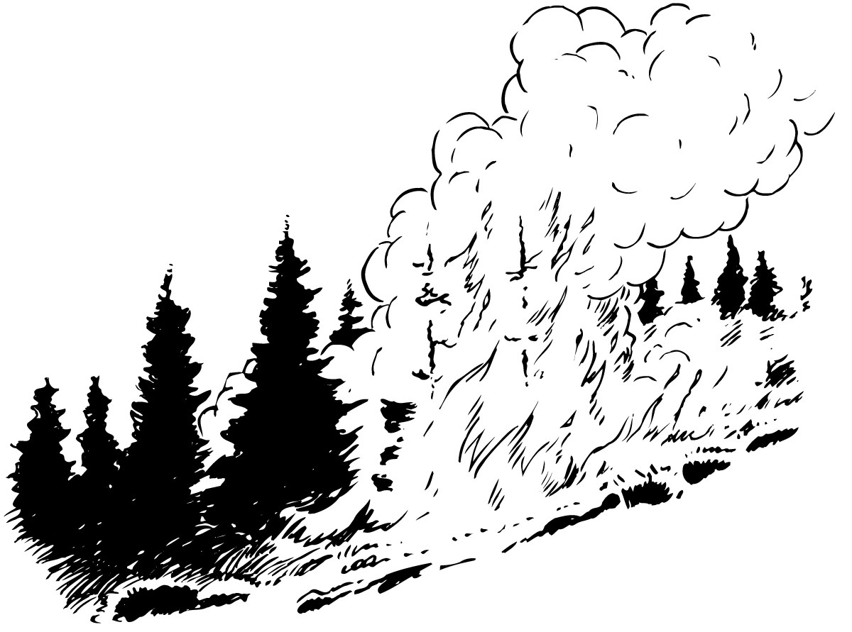 1200x891 Forest Fire Black And White Drawing - Black And White Fire Drawing