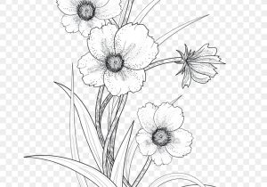 300x210 drawings of flowers in black and white black and white flower - Black And White Flower Drawing