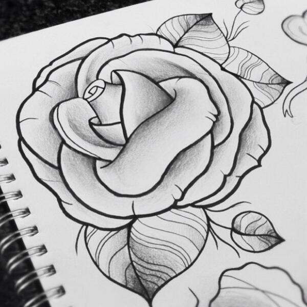 600x600 Drawings Of Flowers In Black And White Gallery Images - Black And White Flower Drawing