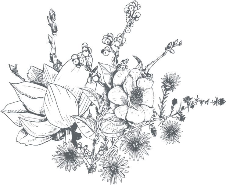 Download Black And White Flowers Png Png Gif Base