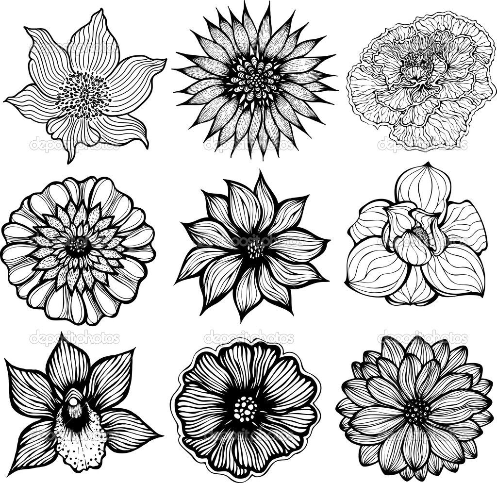 1024x995 Black And White Pictures Of Flowers To Print Free - Black And White Flower Drawing