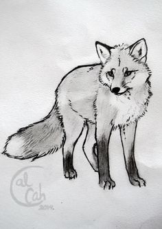 236x333 best fox sketches images fox tattoos, art drawings, drawing s - Black And White Fox Drawing