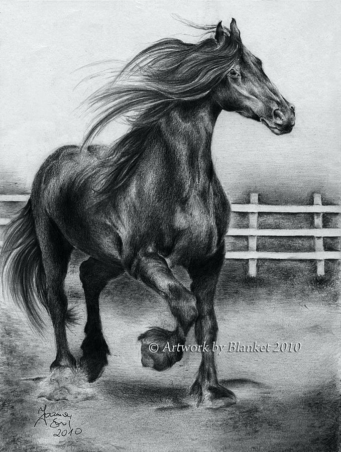 679x900 Black And White Horse Head Drawings Para Massivedns - Black And White Horse Drawings