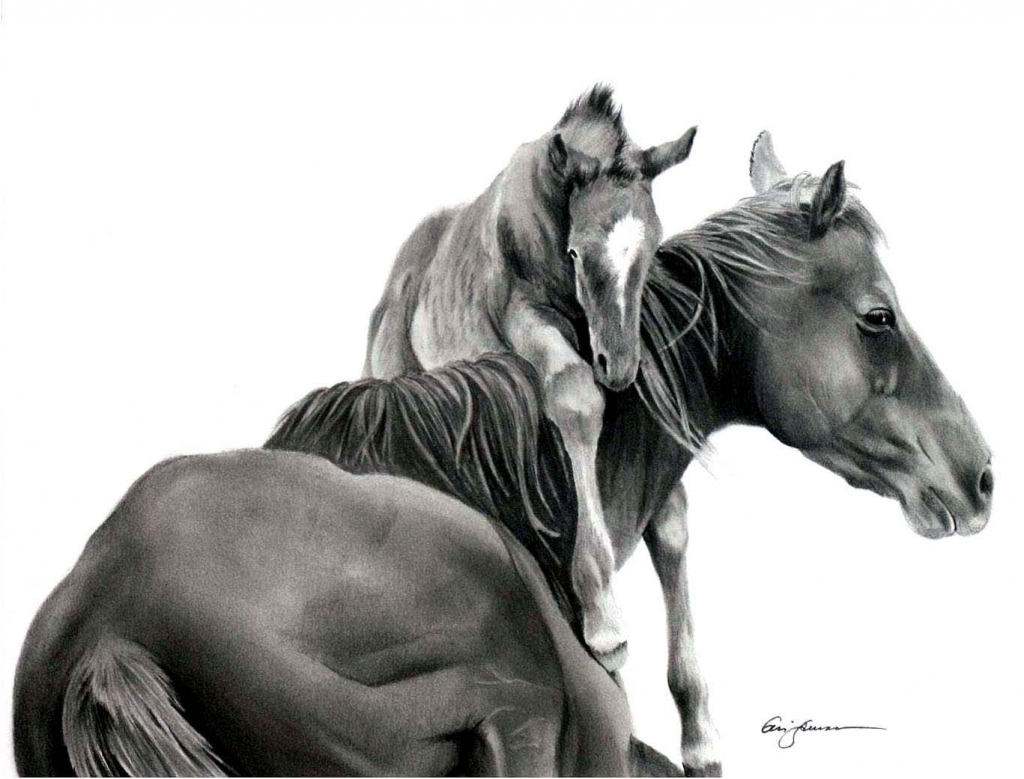 1024x779 black and white horse pencil drawings baby horse drawings shades - Black And White Horse Drawings