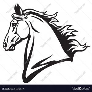300x300 Horse Head Profile Black White Vector Lazttweet - Black And White Horse Drawings