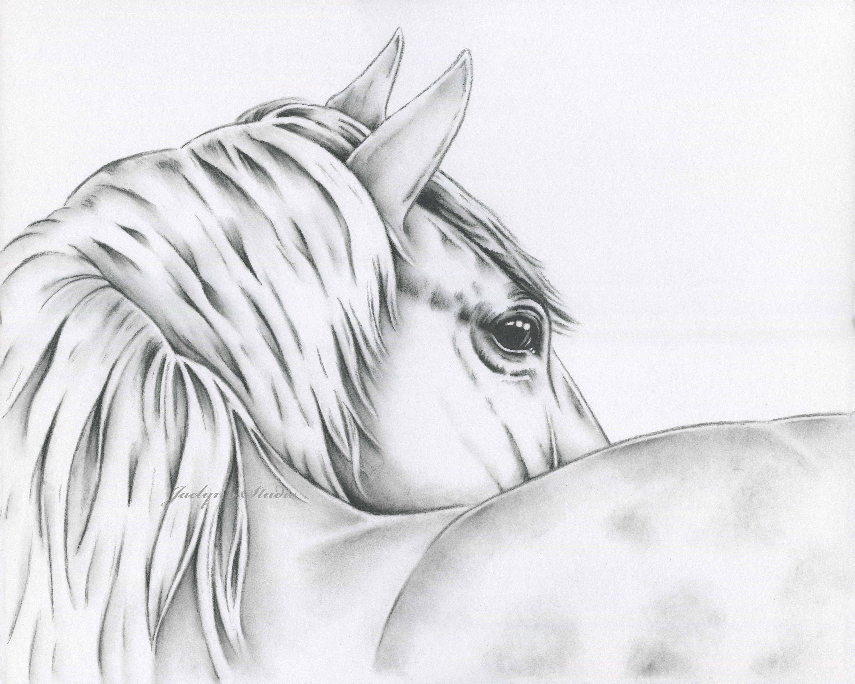 Black And White Horse Drawings at Explore