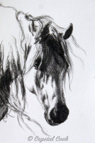 398x600 Arabian Horse Art Original Drawing Black And White Miniature Art - Black And White Horse Drawings