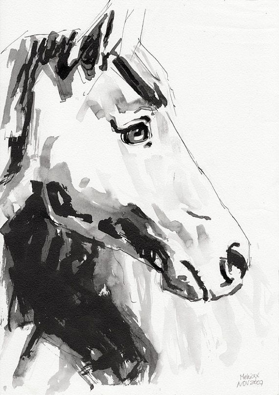 570x807 Original Ink Drawing Black And White Horse Head A R T - Black And White Horse Drawings