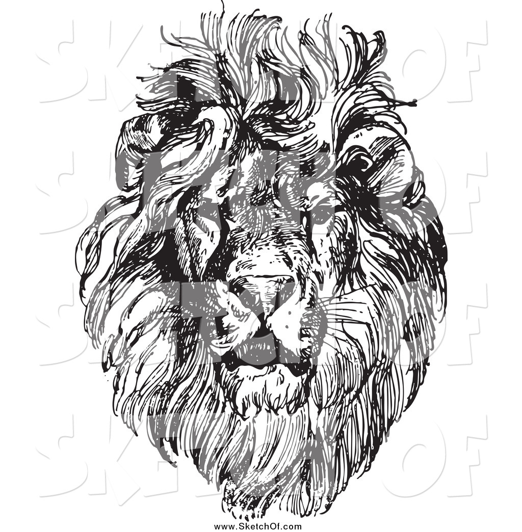 1024x1044 Drawing Of A Black And White Lion Sketch - Black And White Lion Drawing