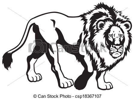 450x330 Lion Black White Lion Black And White Image - Black And White Lion Drawing