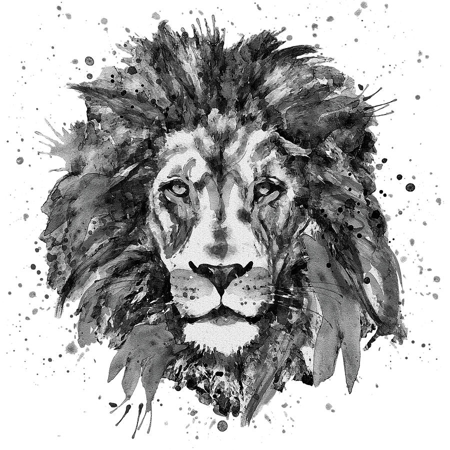 900x900 Black And White Lion Head Painting - Black And White Lion Drawing