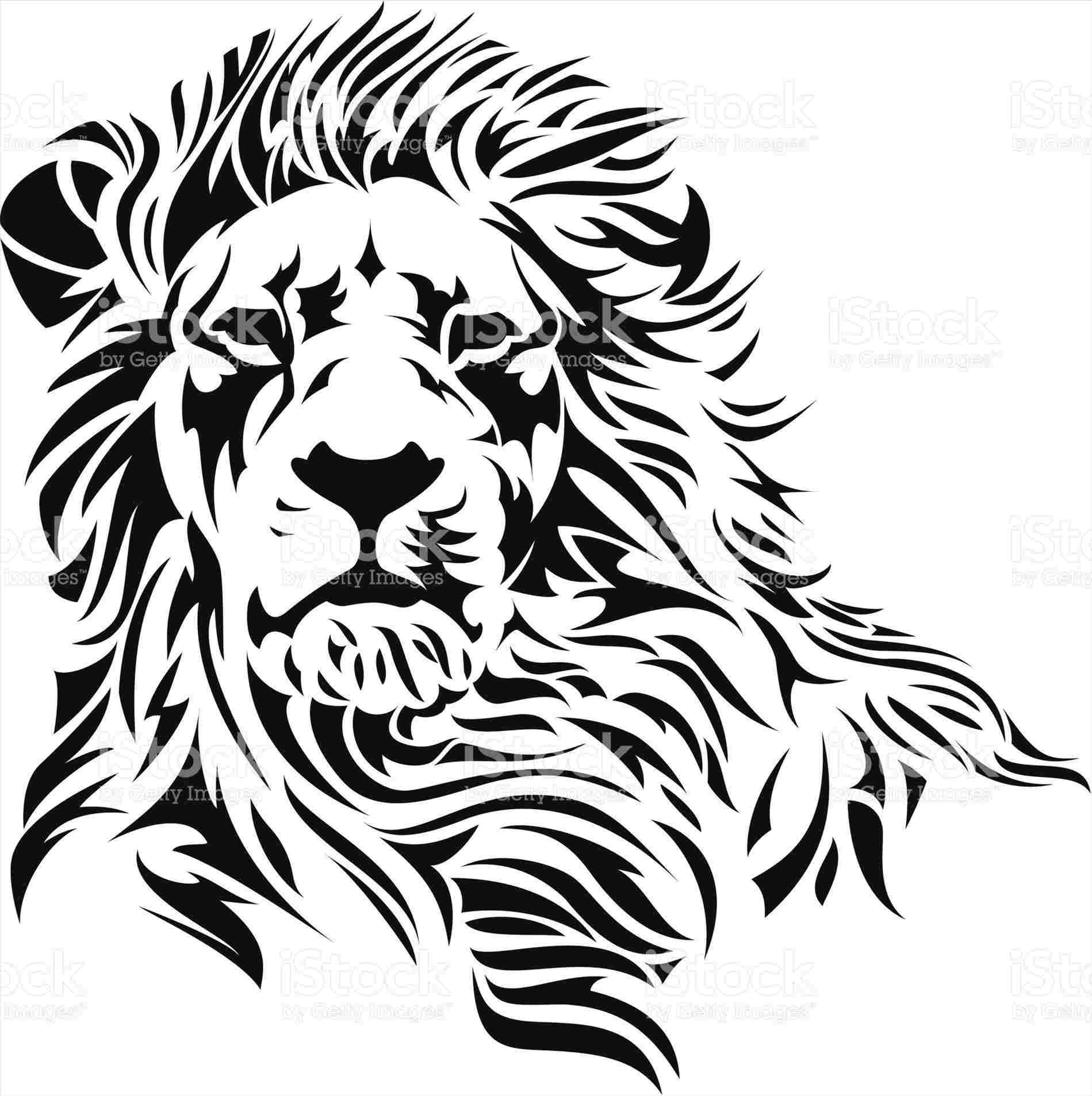 Black And White Lion Drawing at Explore collection