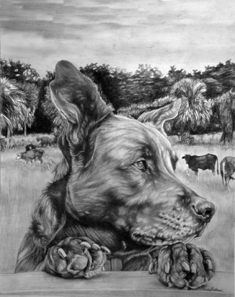 330x417 Louise Hallauer - Black And White Pencil Drawings