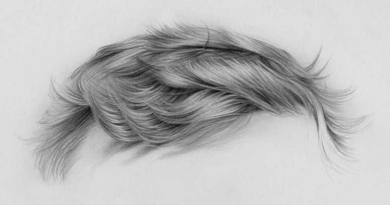 800x420 common mistakes when drawing a portrait and how to avoid them! - Black And White Portrait Drawing