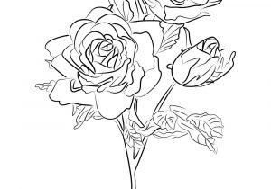300x210 Black And White Sketches Of Roses Rose Sketch Black Outline - Black And White Rose Drawing