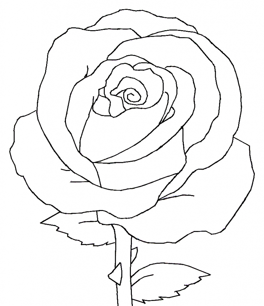 Black And White Rose Drawing at PaintingValley.com | Explore collection ...