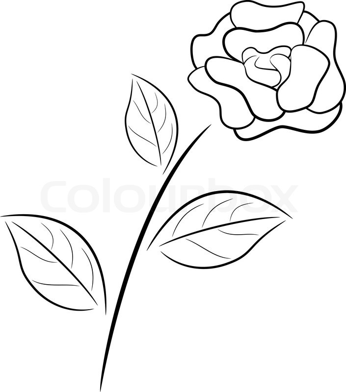705x800 Abstract Black And White Rose In Stock Vector Colourbox - Black And White Rose Drawing